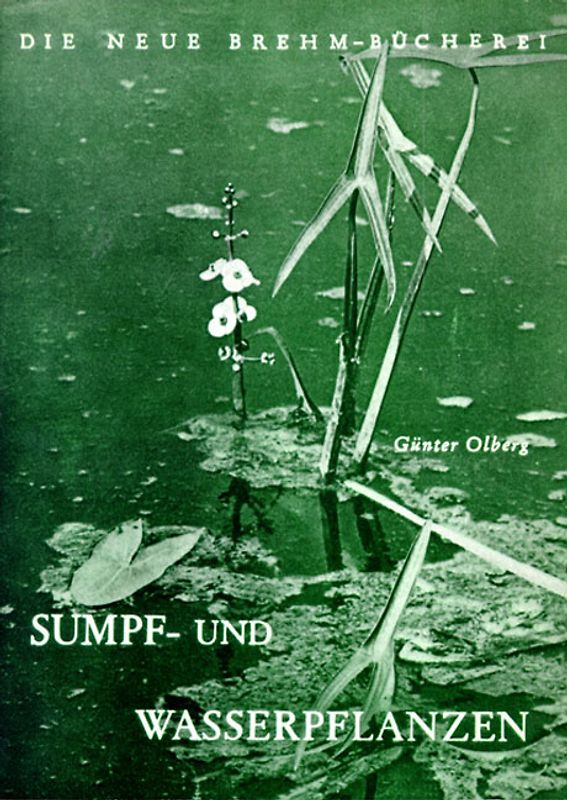 Sumpf- und Wasserpflanzen