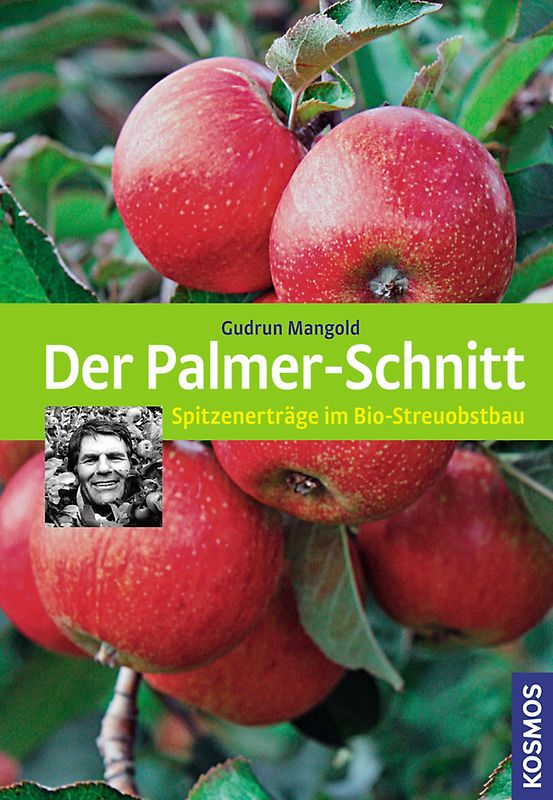 Der Palmer-Schnitt