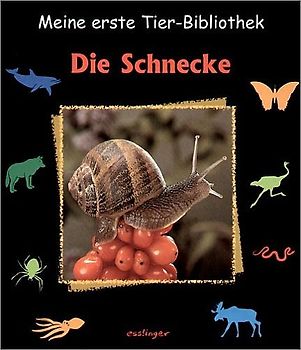 Die Schnecke