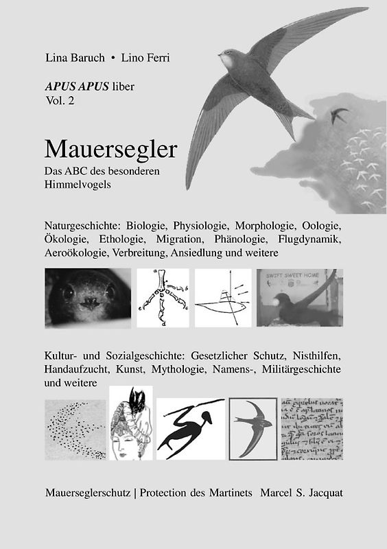 APUS APUS liber, vol. 2. Mauersegler