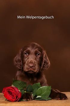 Mein Welpentagebuch: die ersten Monate mit meinem Flat Coated Retriever (Flat Coated Retriever- alle Bücher: Trainingstagebuch, Krankenakte, BARF Planer und Welpentagebuch, Band 8)