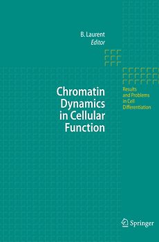 Chromatin Dynamics in Cellular Function