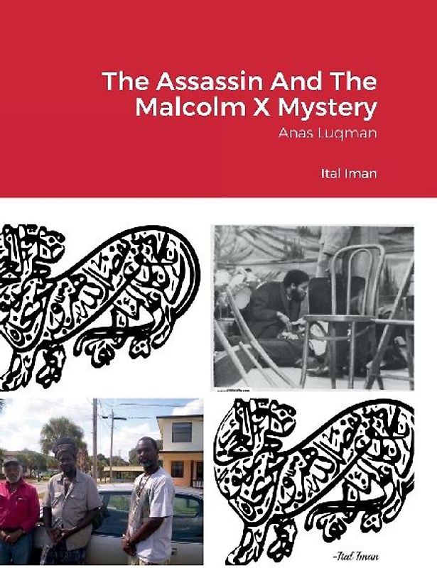 The Assassin And The Malcolm X Mystery