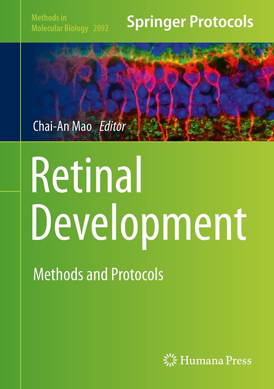Retinal Development