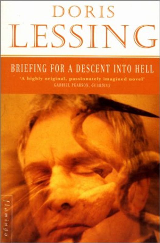 Briefing for a Descent into Hell (Flamingo Modern Classic) - Doris Lessing