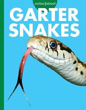 Curious about Garter Snakes