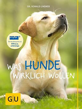 Was Hunde wirklich wollen