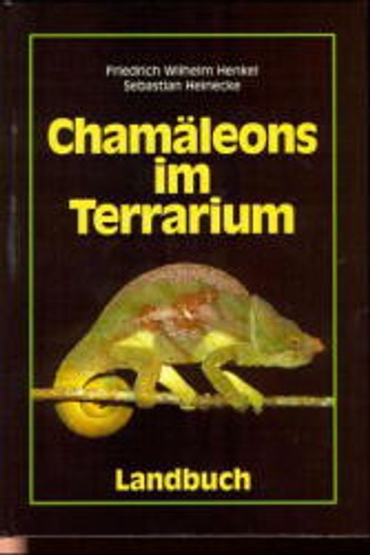 Chamäleons im Terrarium