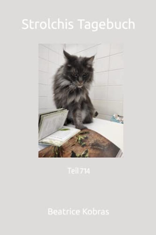 Strolchis Tagebuch: Teil 714
