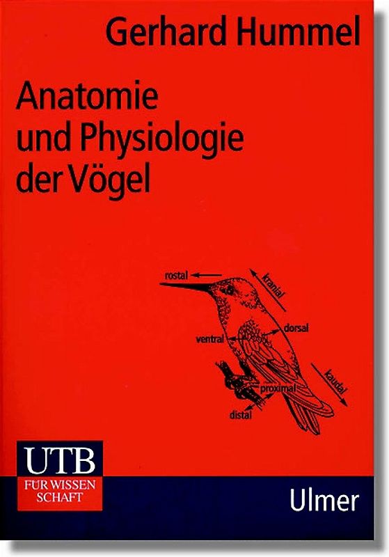 Anatomie und Physiologie der Vögel