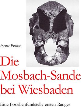Die Mosbach-Sande bei Wiesbaden