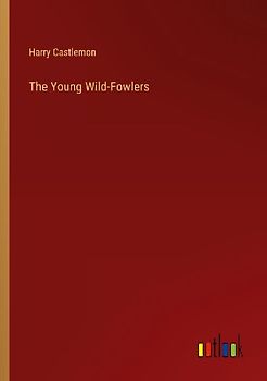 The Young Wild-Fowlers