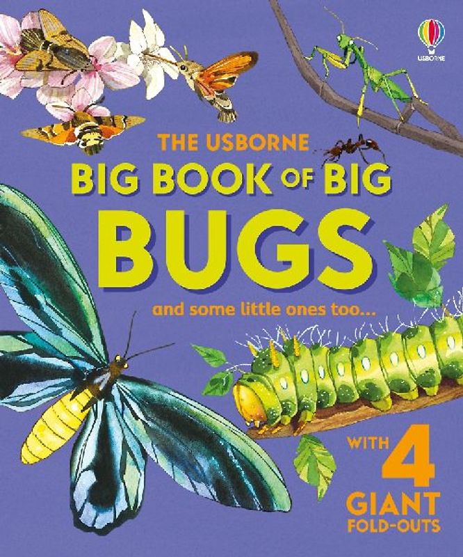 Big Book of Big Bugs