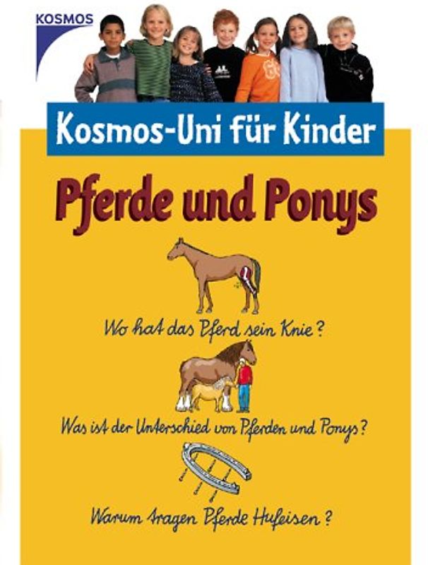 Pferde und Ponys