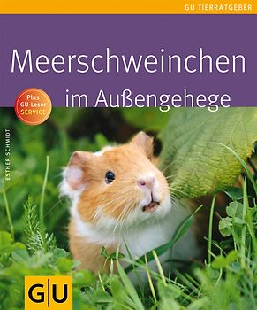 Meerschweinchen im Außengehege