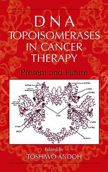 DNA Topoisomerases in Cancer Therapy