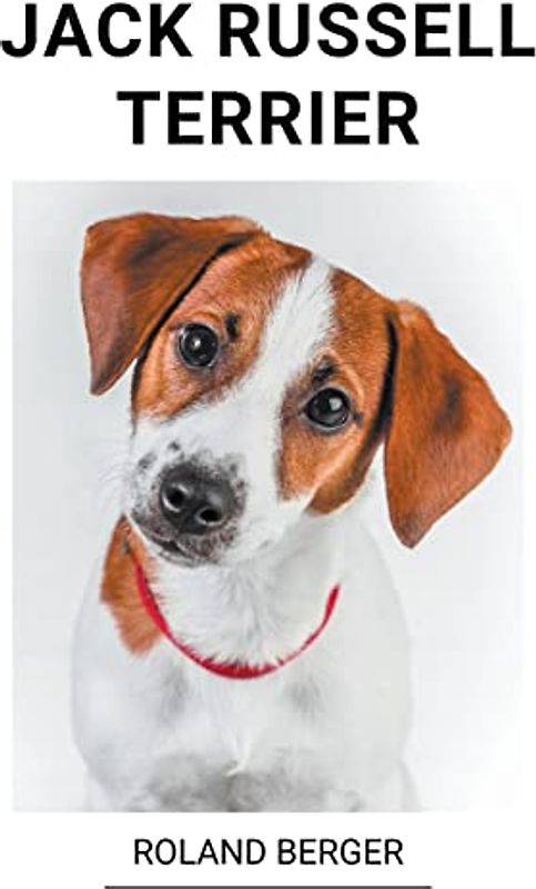 Jack Russell Terrier