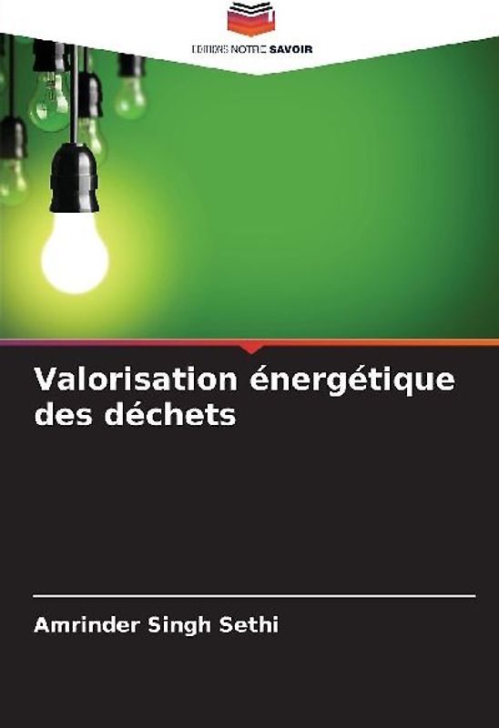 Valorisation énergétique des déchets