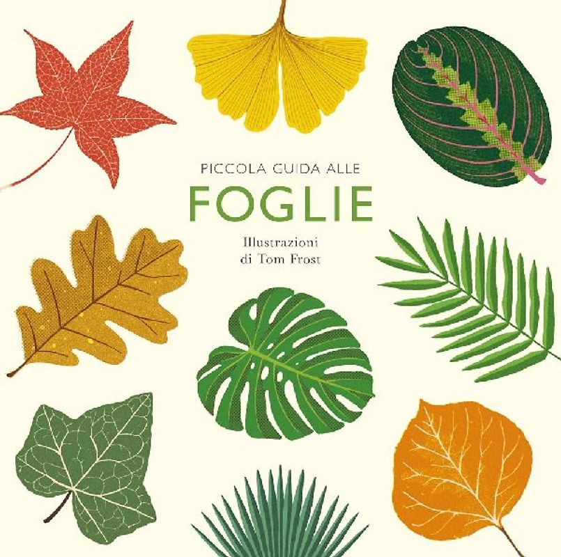 Piccola guida alle foglie