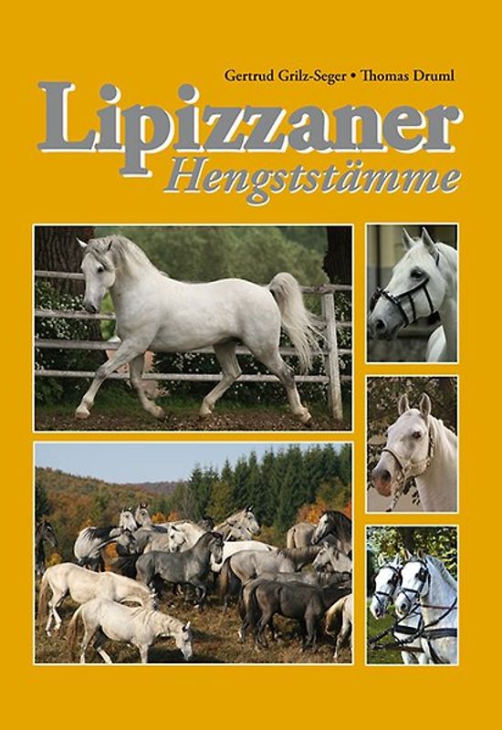 Lipizzaner