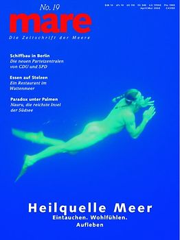 mare - Die Zeitschrift der Meere / No. 19 / Heilquelle Meer