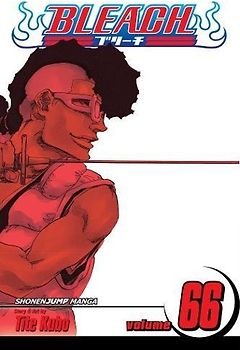 Bleach Volume 66: Sorry I Am Strong