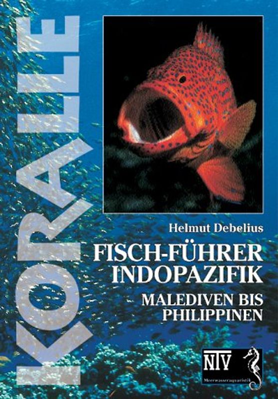 Fisch-Führer Indopazifik