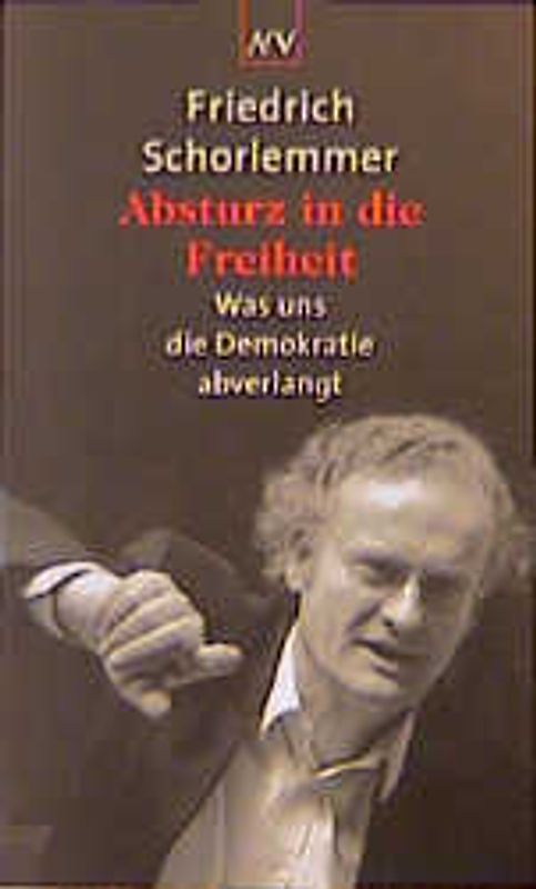 Absturz in die Freiheit. Was uns die Demokratie abverlangt