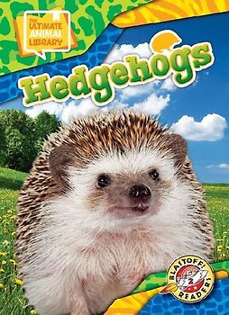 Hedgehogs