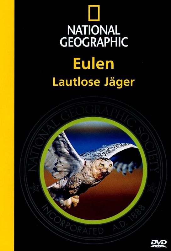 Eulen - Lautlose Jäger DVD