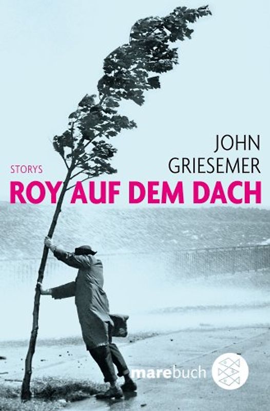 Roy auf dem Dach