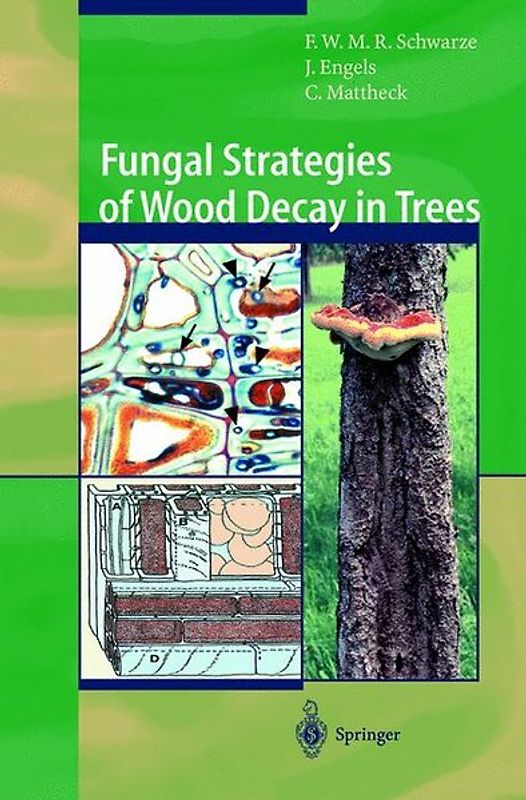 Fungal Strategies of Wood Decay in Trees