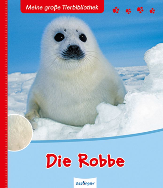 Meine große Tierbibliothek: Die Robbe