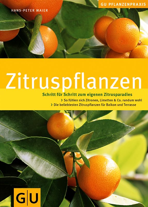 Zitruspflanzen