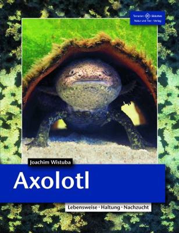 Axolotl