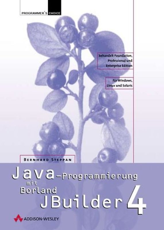 Java-Programmierung mit Borland JBuilder 4