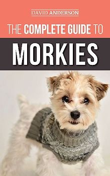 The Complete Guide to Morkies