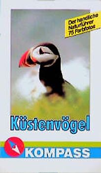 Küstenvögel
