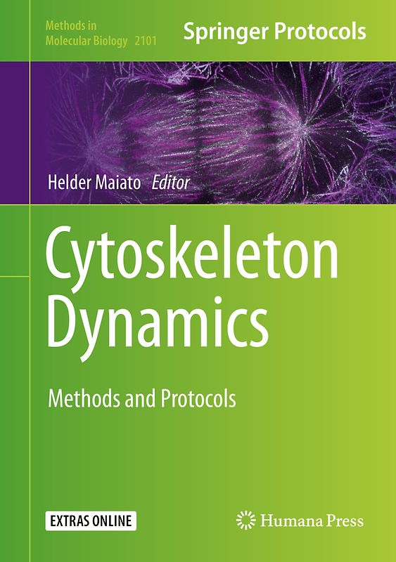 Cytoskeleton Dynamics