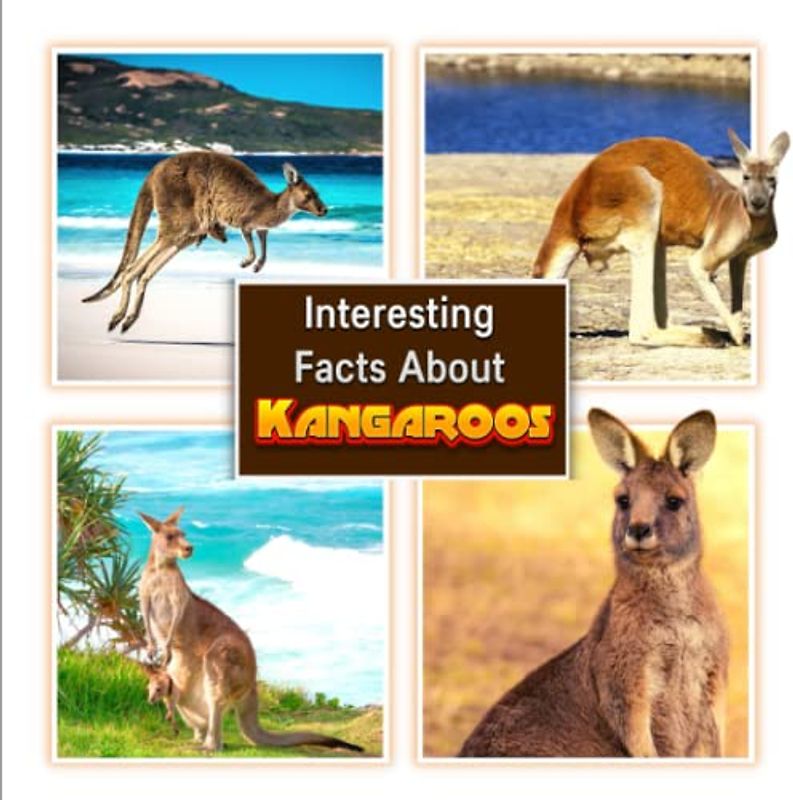 Interesting Facts About Kangaroos: Children's Picture Book for Kangaroos / Facts About Kangaroos for Kids (A Colorful Picture Book for Kids)