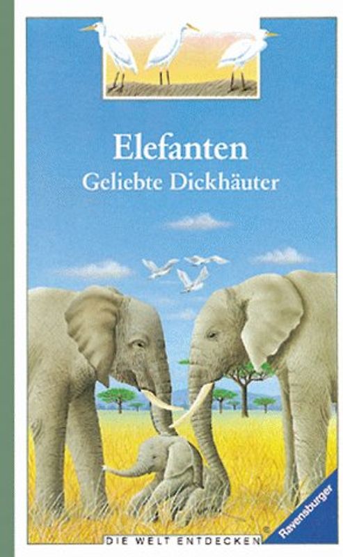 Elefanten - Geliebte Dickhäuter