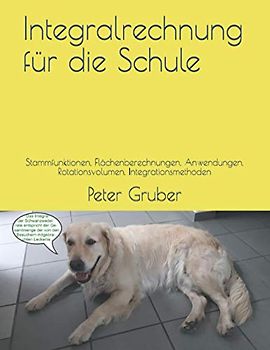 Integralrechnung für die Schule: Stammfunktionen, Flächenberechnungen, Anwendungen, Rotationsvolumen, Integrationsmethoden