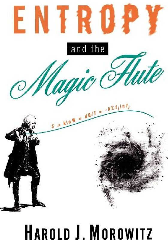 Entropy and the Magic Flute