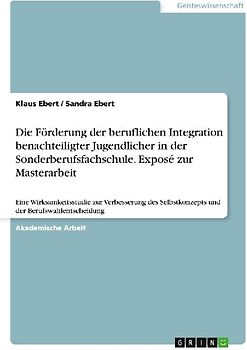 Die Förderung der beruflichen Integration benachteiligter Jugendlicher in der Sonderberufsfachschule. Exposé zur Masterarbeit