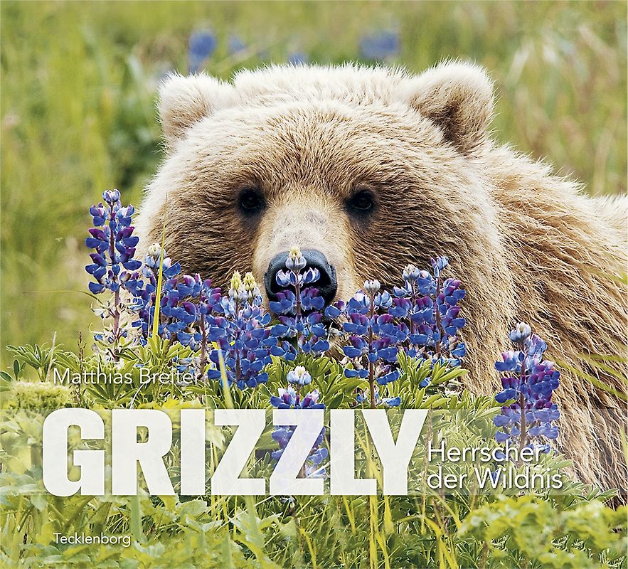 Grizzly