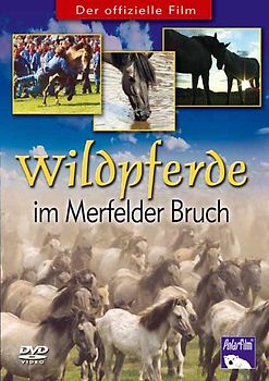 Wildpferde im Merfelder Bruch DVD