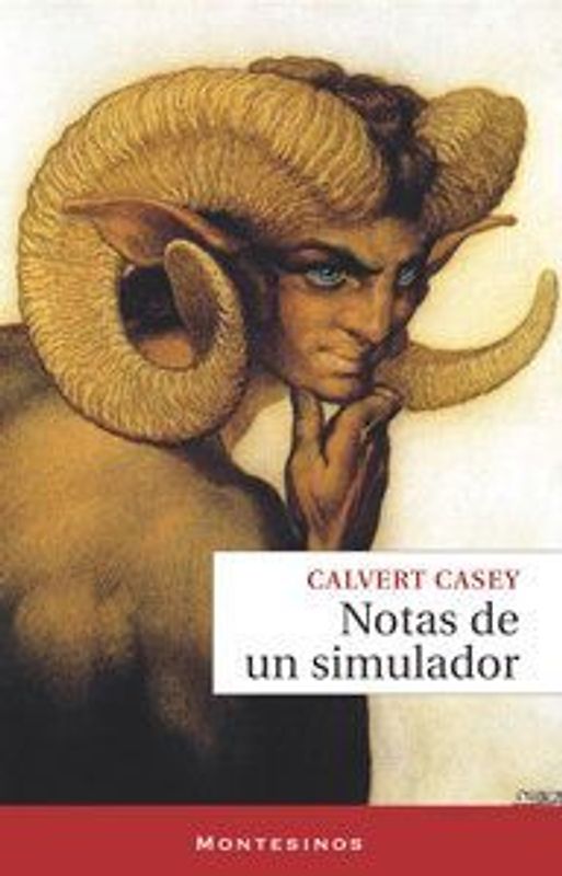 Notas de un simulador