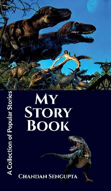 My Story Book