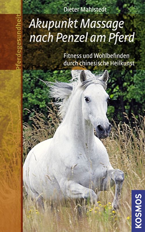 Akupunkt Massage nach Penzel am Pferd