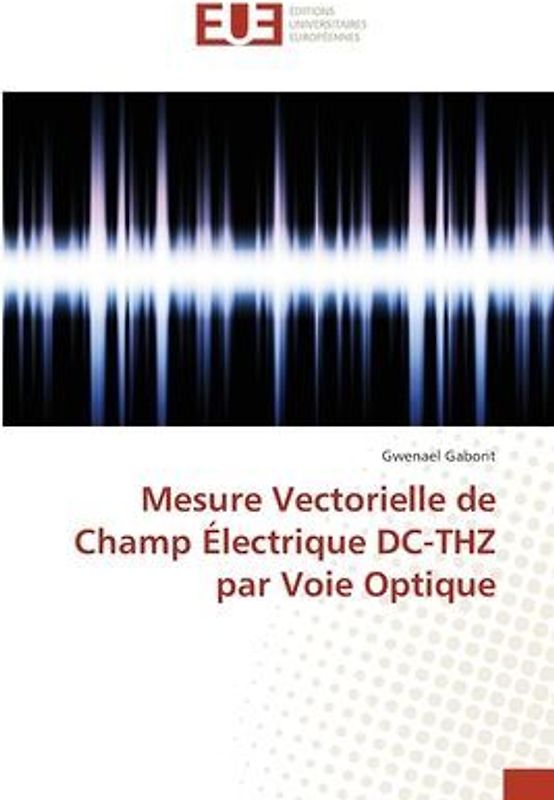 Mesure Vectorielle de Champ Électrique DC-THZ par Voie Optique